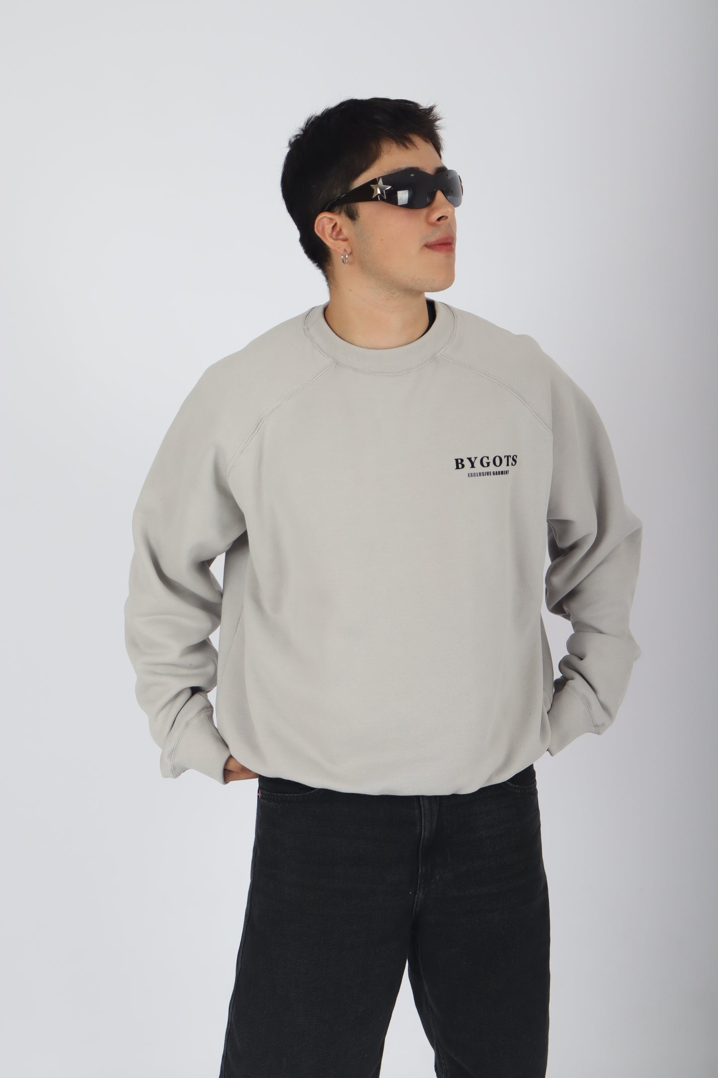 Hoodie 1010 Grey